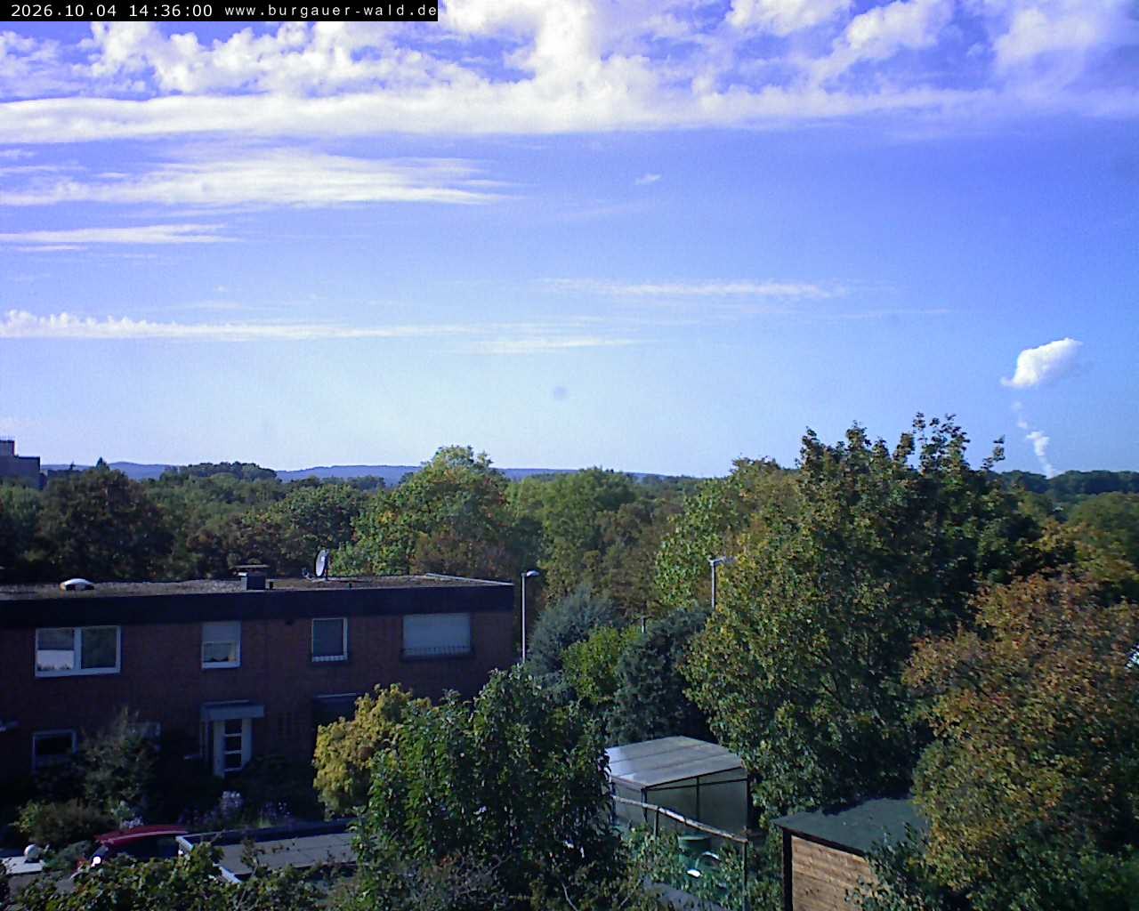 Archiv Foto Webcam Burgauer Wald