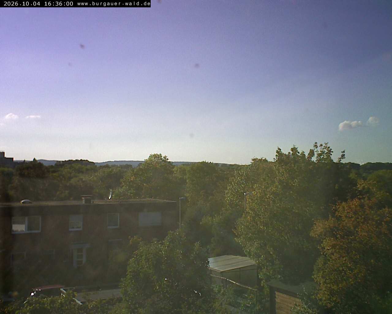 Archiv Foto Webcam Burgauer Wald