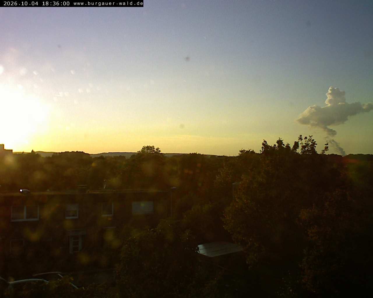 Archiv Foto Webcam Burgauer Wald