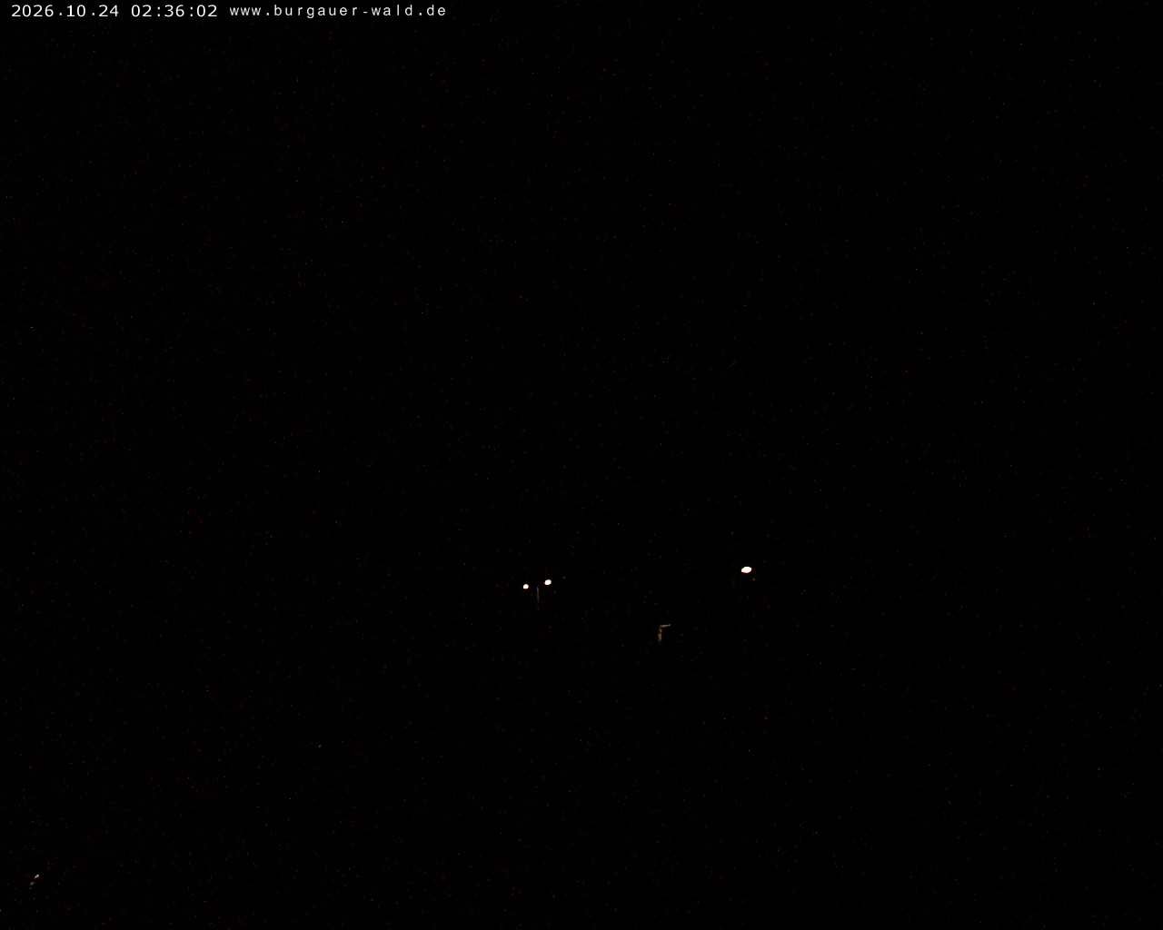 Archiv Foto Webcam Burgauer Wald