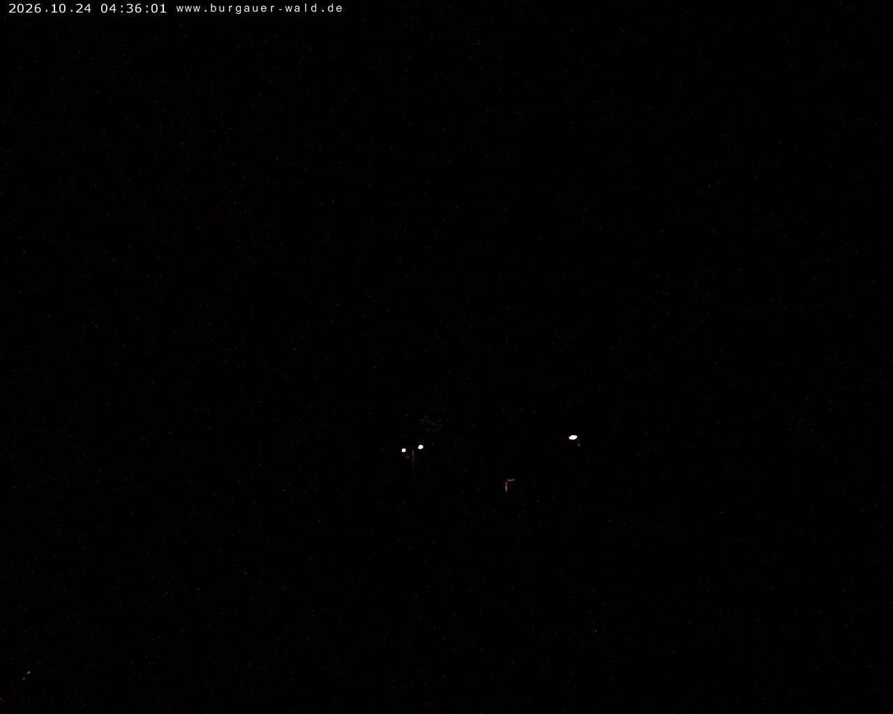 Archiv Foto Webcam Burgauer Wald