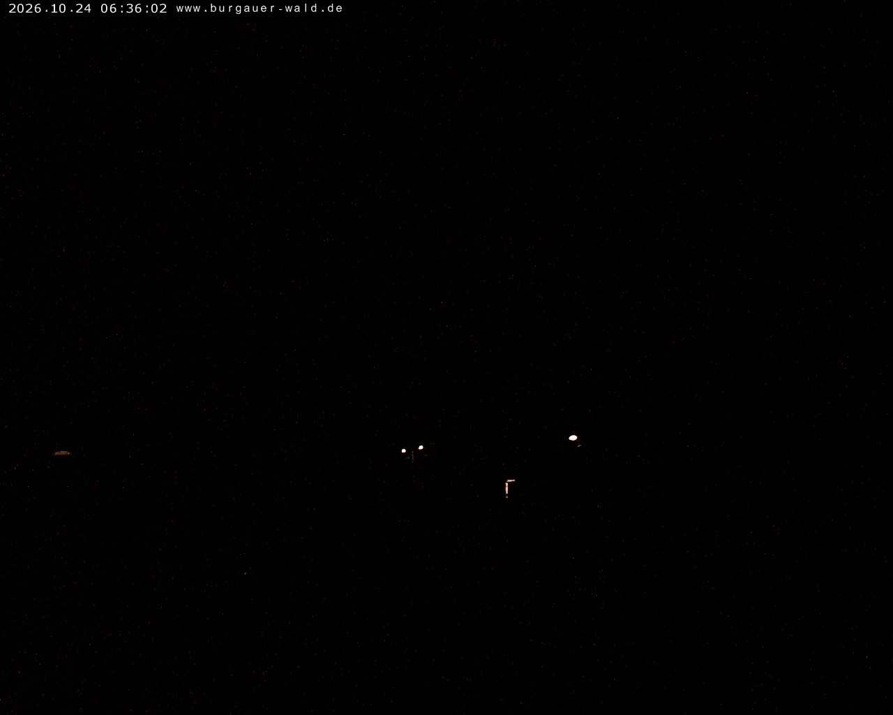Archiv Foto Webcam Burgauer Wald
