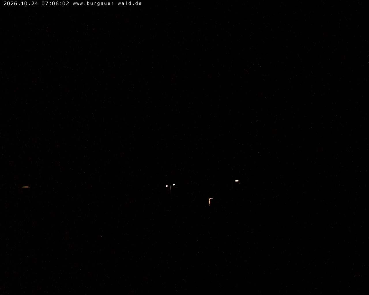 Archiv Foto Webcam Burgauer Wald