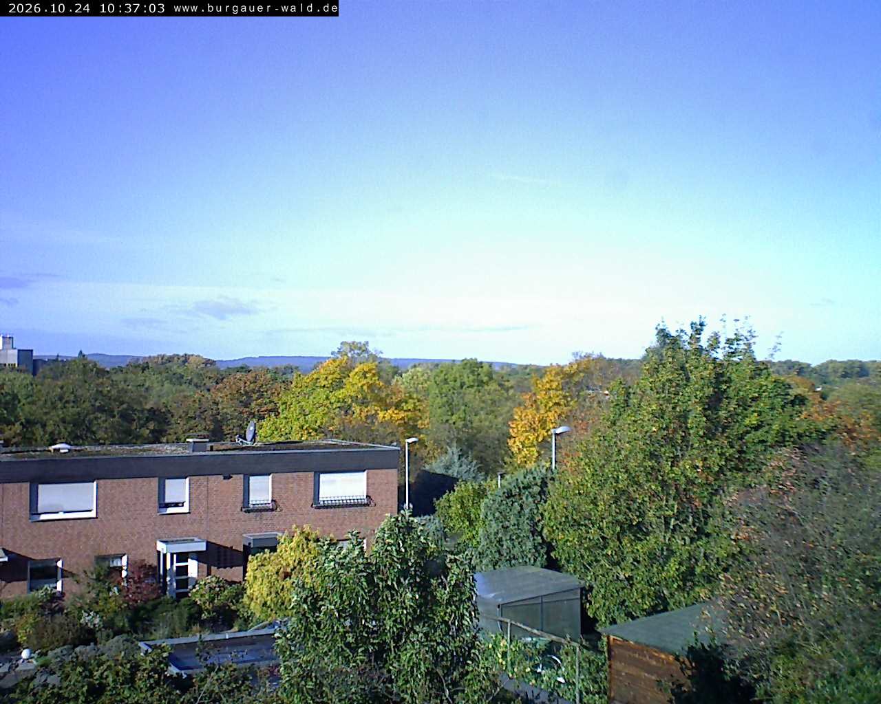 Archiv Foto Webcam Burgauer Wald