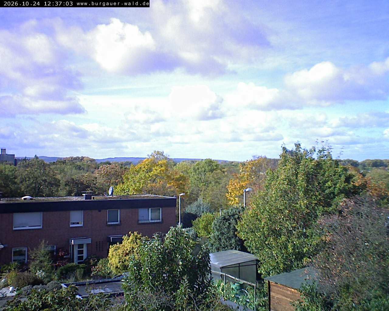 Archiv Foto Webcam Burgauer Wald