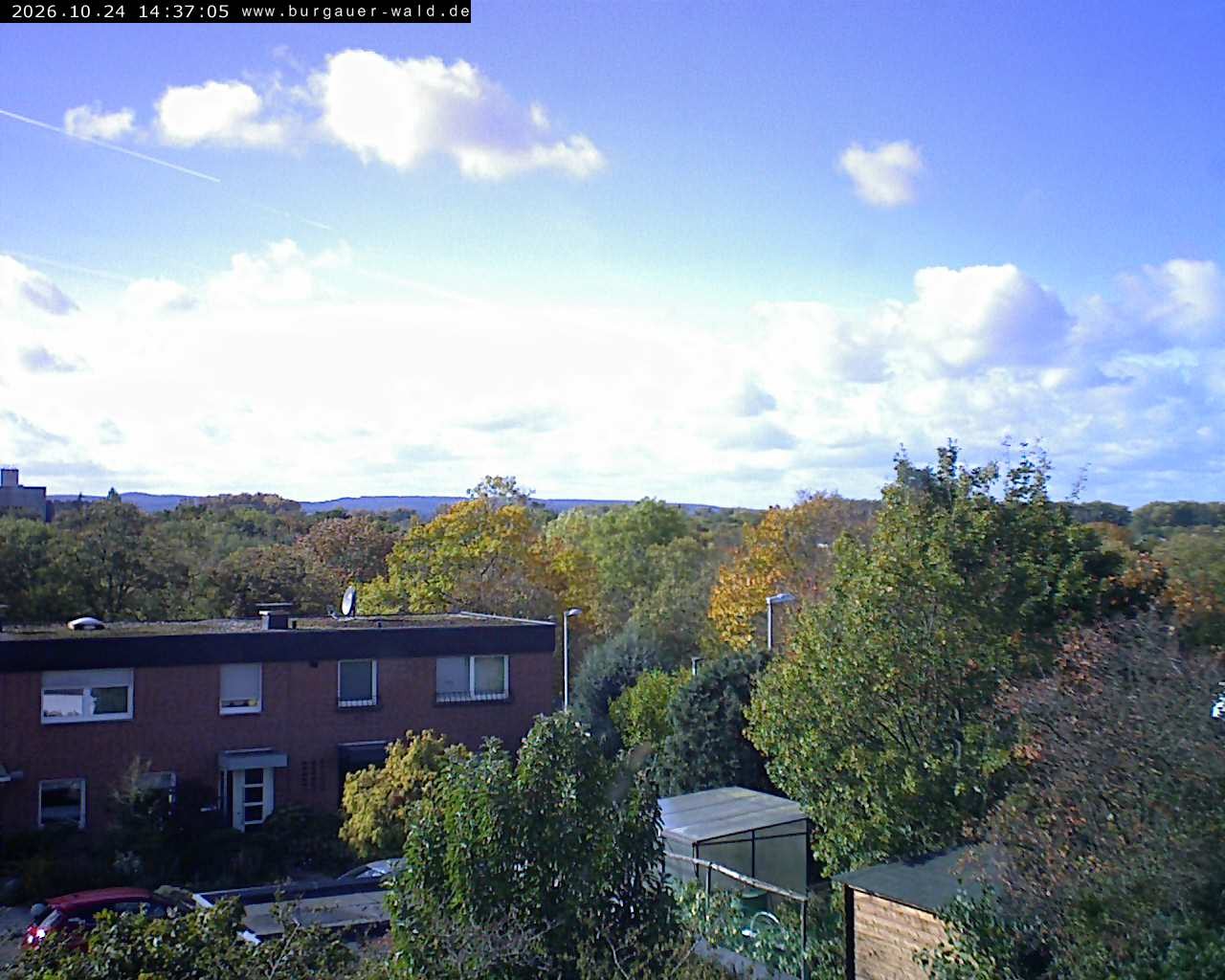 Archiv Foto Webcam Burgauer Wald