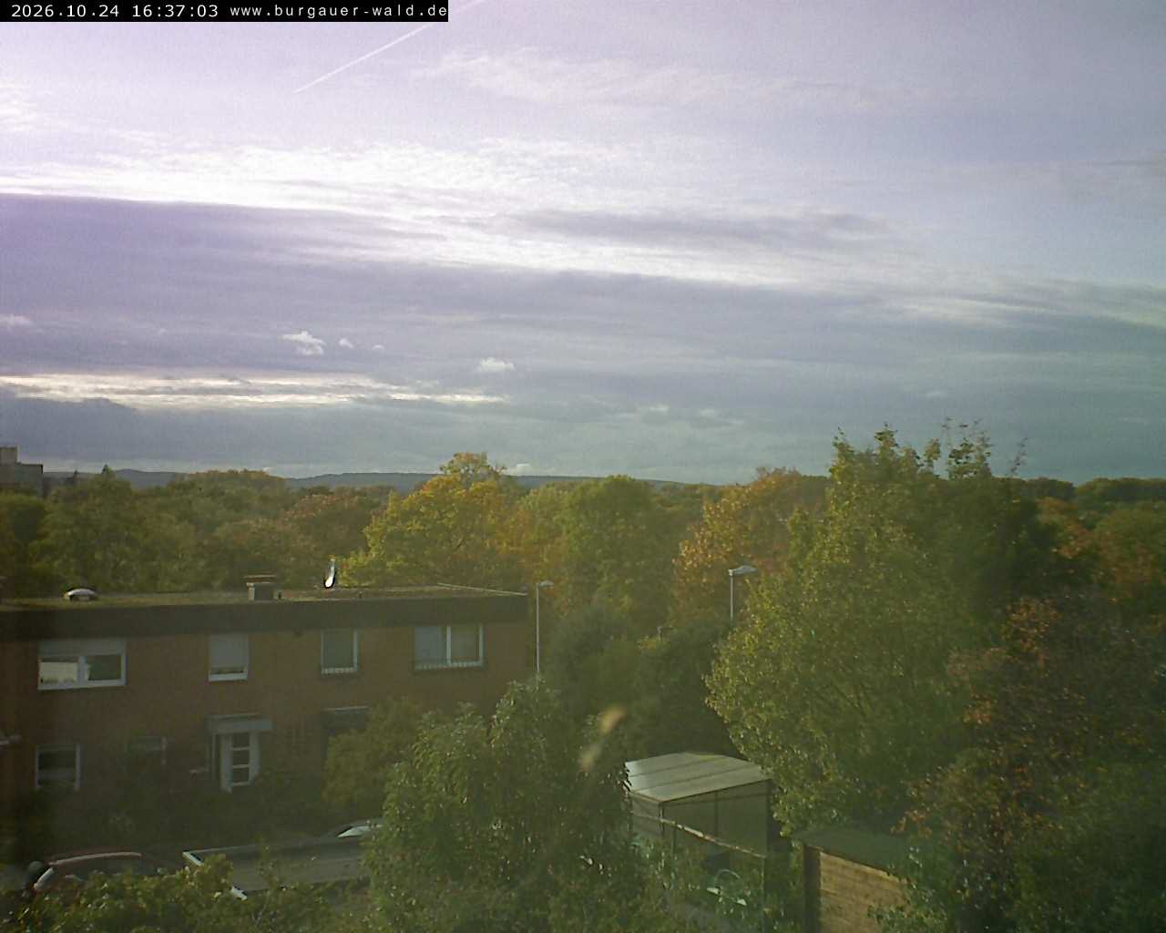 Archiv Foto Webcam Burgauer Wald