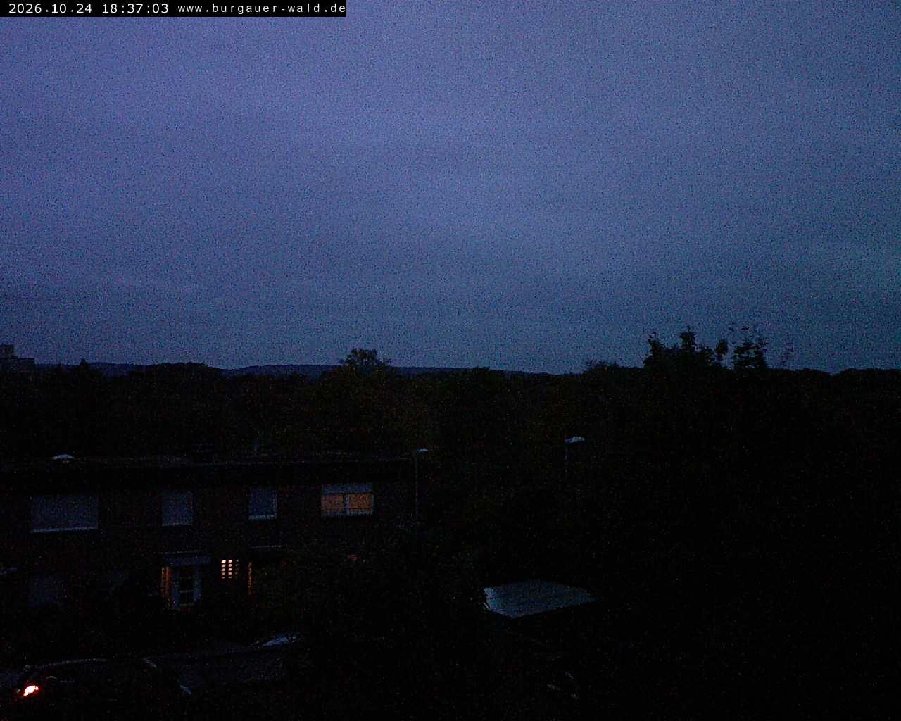 Archiv Foto Webcam Burgauer Wald