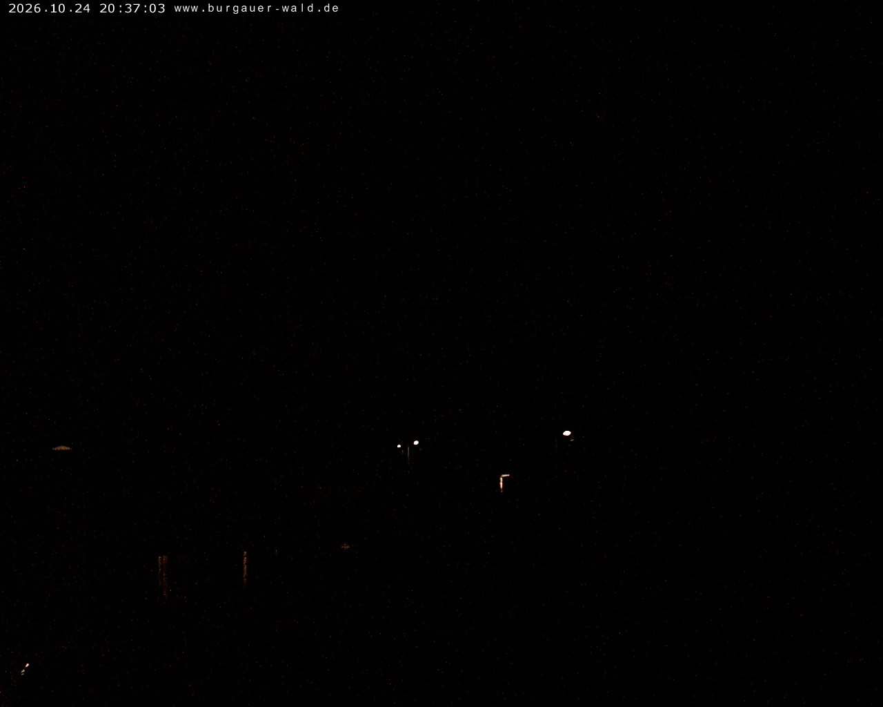 Archiv Foto Webcam Burgauer Wald