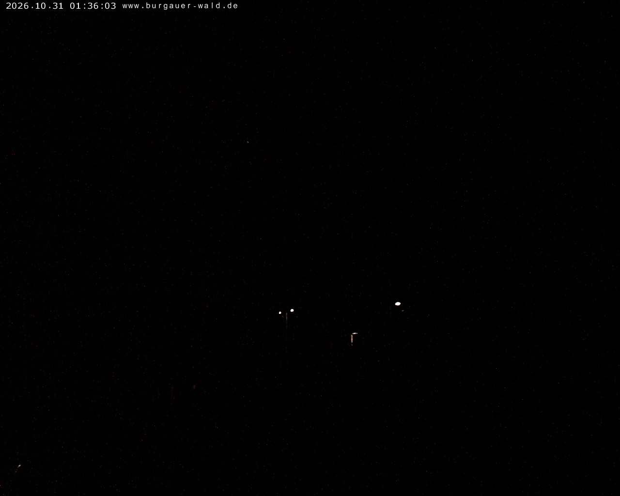 Archiv Foto Webcam Burgauer Wald