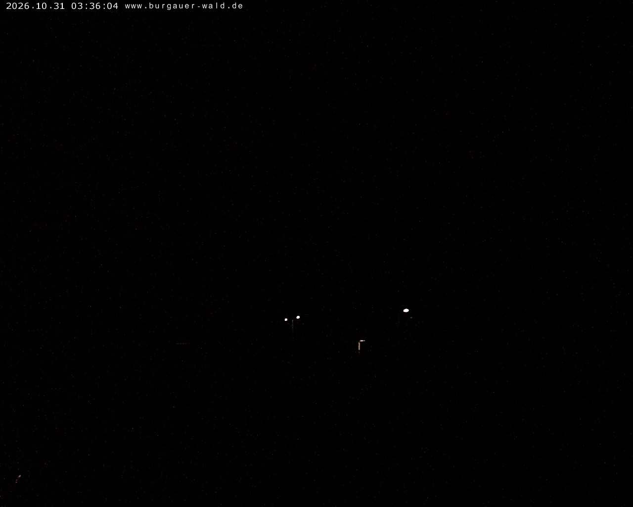 Archiv Foto Webcam Burgauer Wald