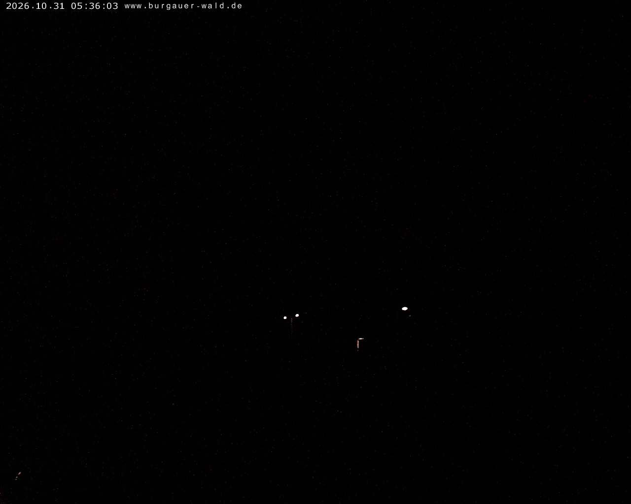 Archiv Foto Webcam Burgauer Wald