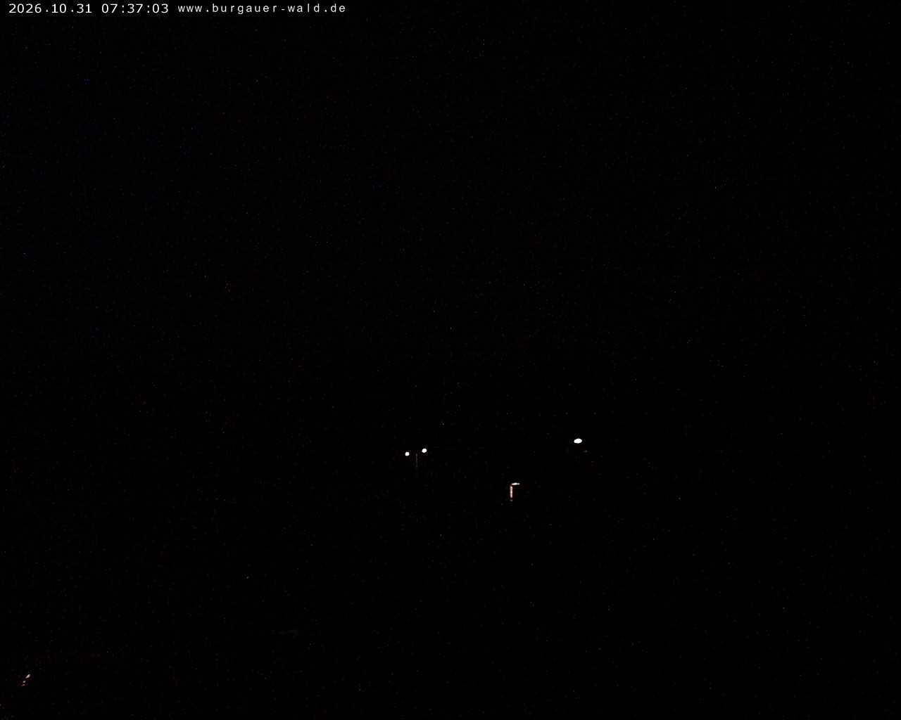 Archiv Foto Webcam Burgauer Wald