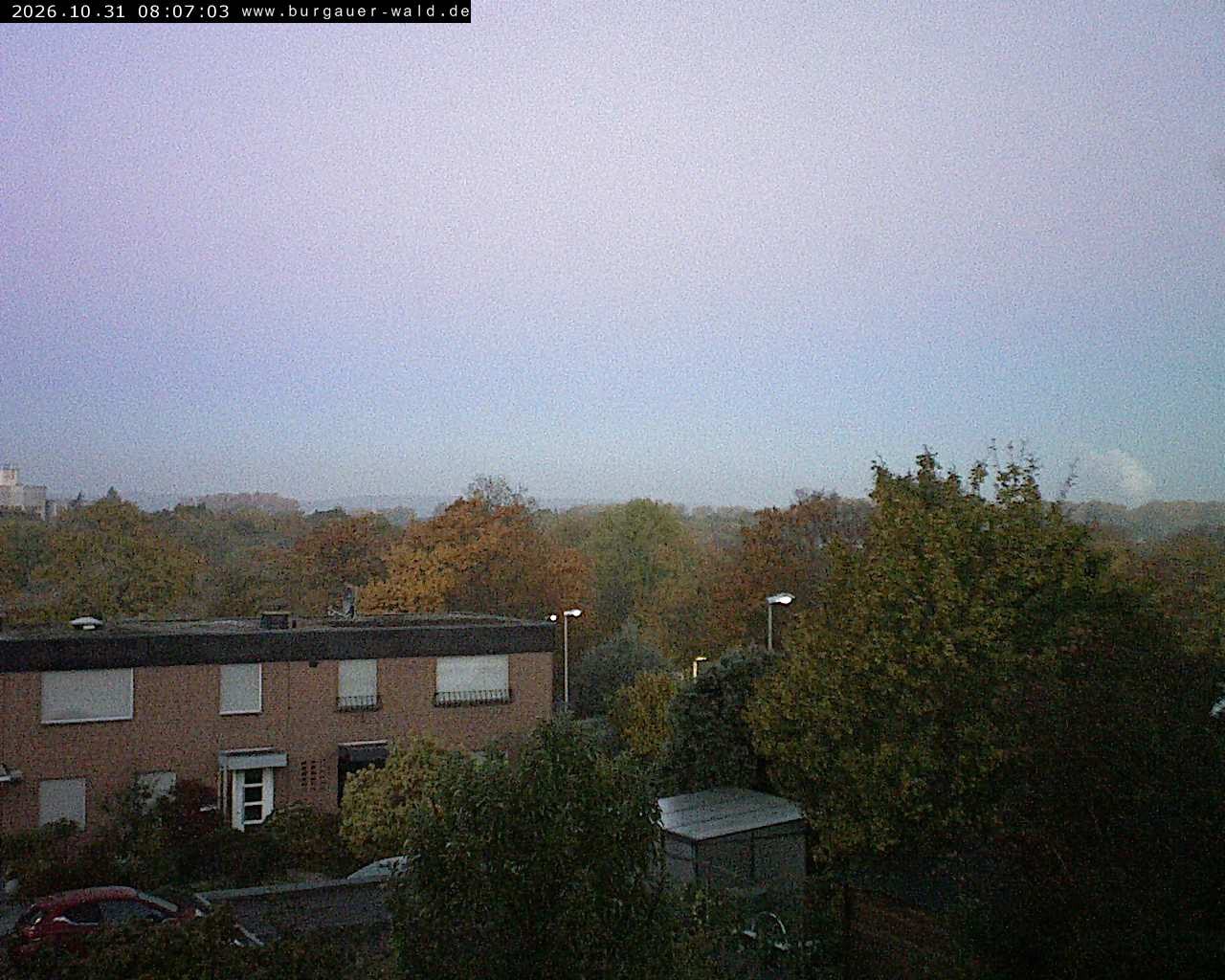 Archiv Foto Webcam Burgauer Wald