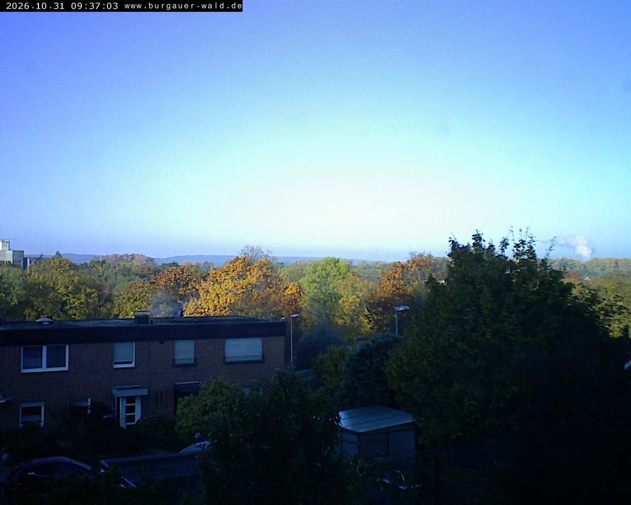 Archived image Webcam Burgauer Wald in North Rhine-Westphalia