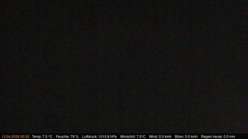 Archived image Webcam Käbelicksee in the Müritz national park