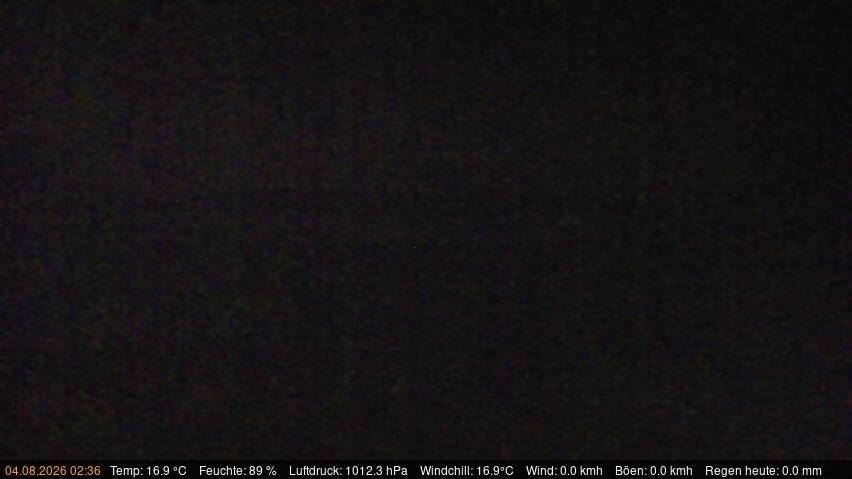 Archived image Webcam Käbelicksee in the Müritz national park