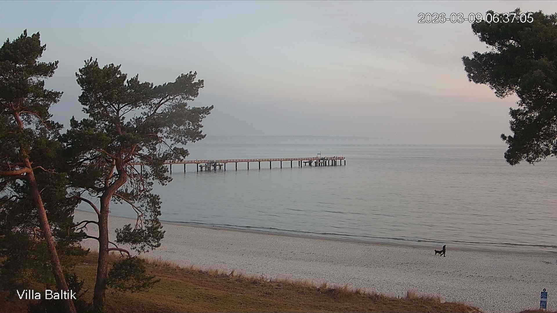 Archiv Foto Webcam Ostseebad Binz - Strandpromenade
