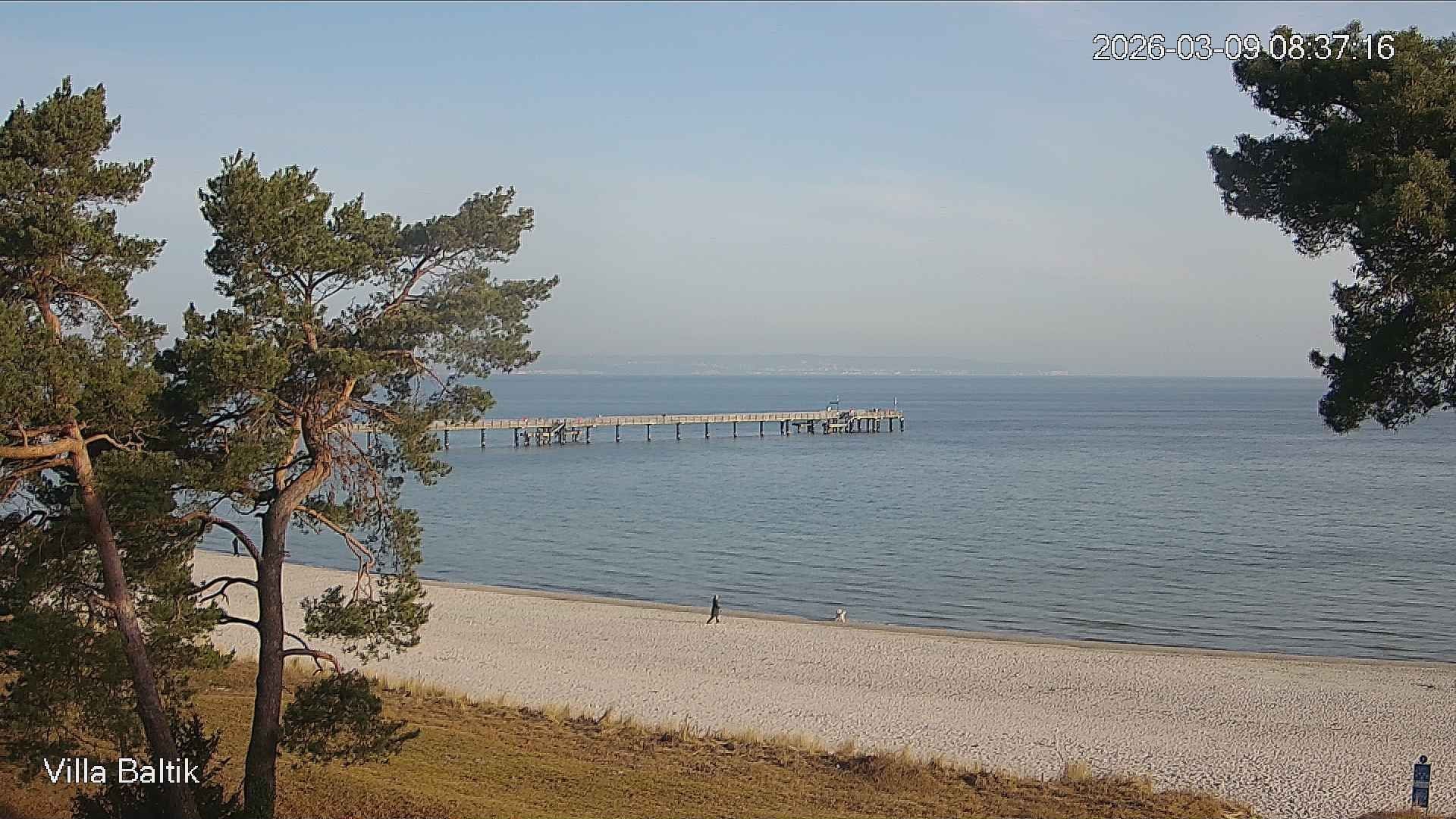 Archiv Foto Webcam Ostseebad Binz - Strandpromenade