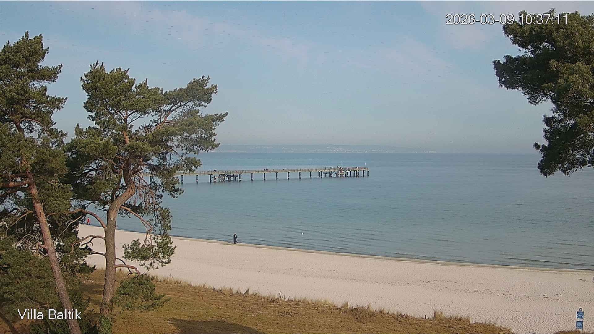 Archiv Foto Webcam Ostseebad Binz - Strandpromenade