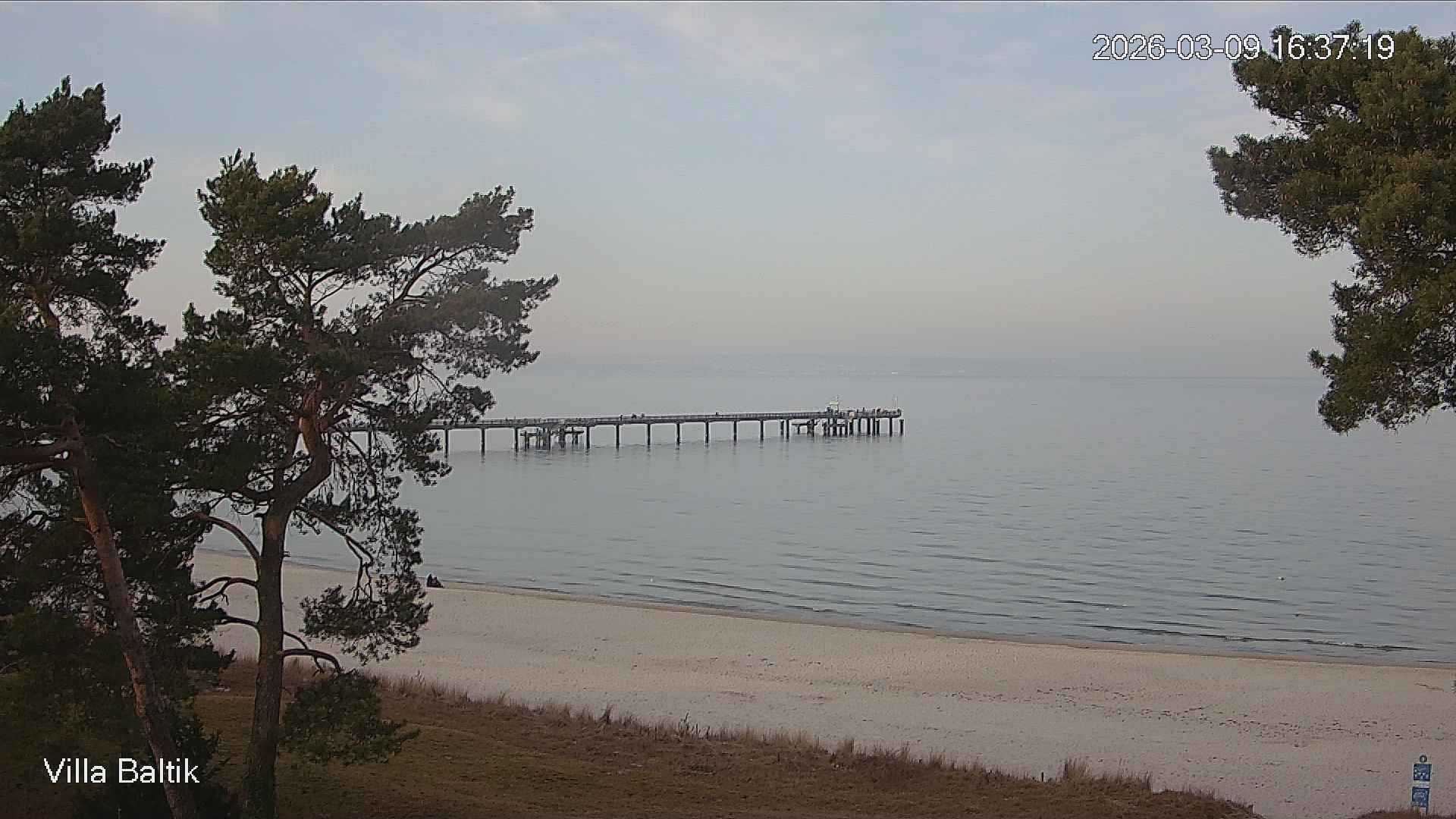 Archiv Foto Webcam Ostseebad Binz - Strandpromenade