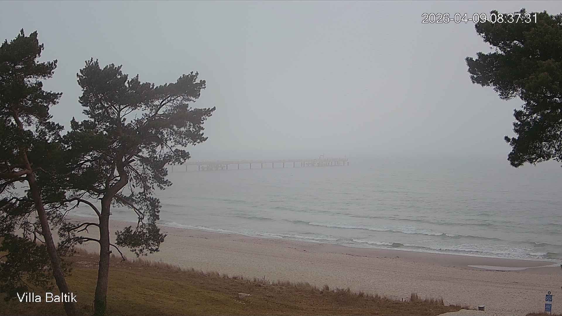 Archiv Foto Webcam Ostseebad Binz - Strandpromenade