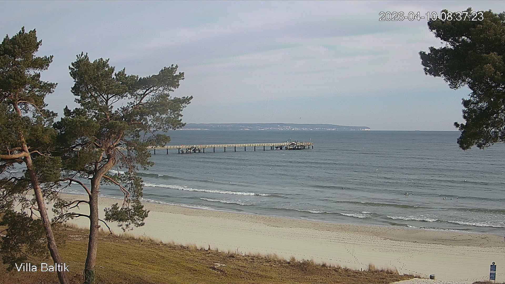 Archiv Foto Webcam Ostseebad Binz - Strandpromenade