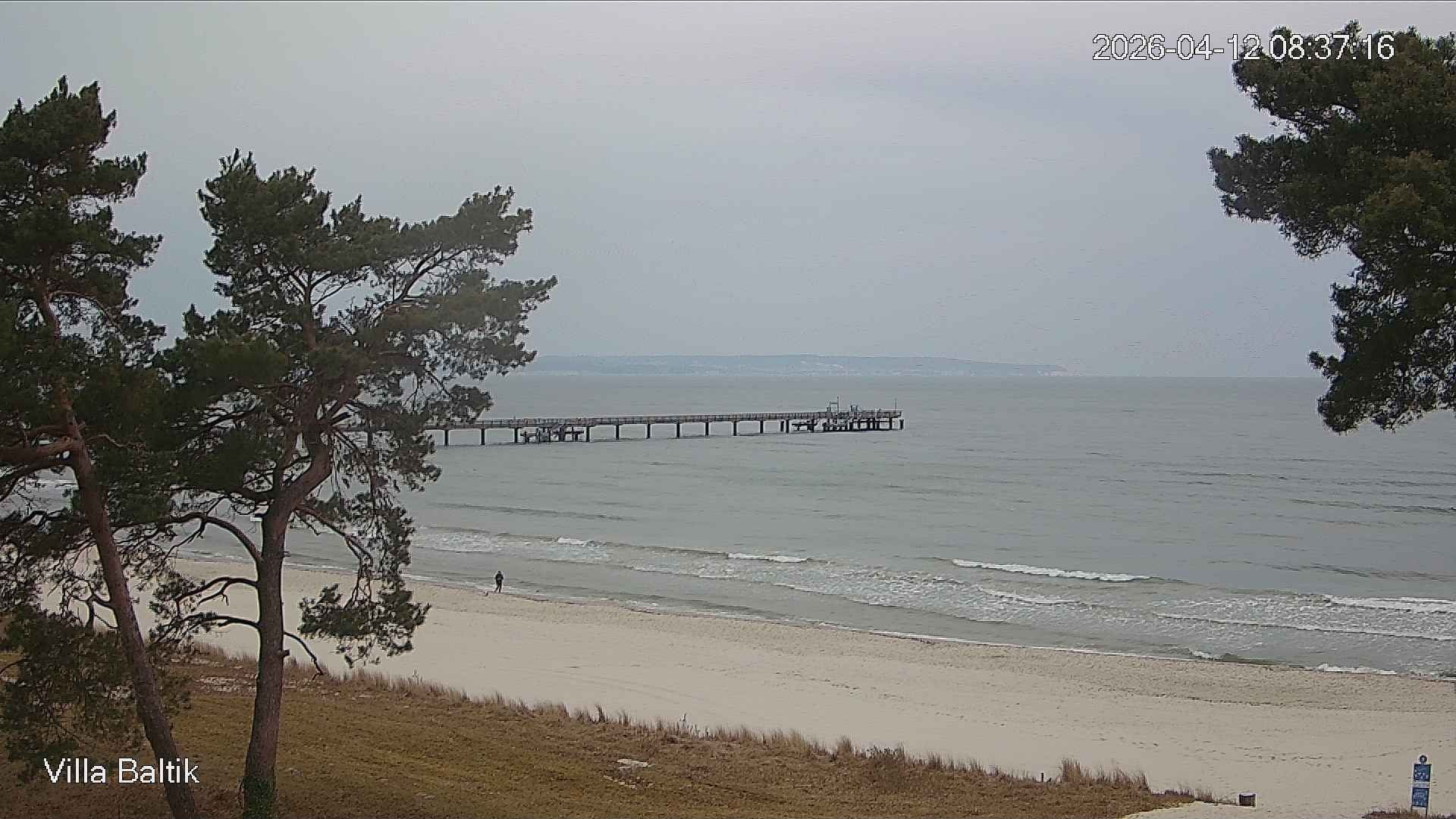 Archiv Foto Webcam Ostseebad Binz - Strandpromenade