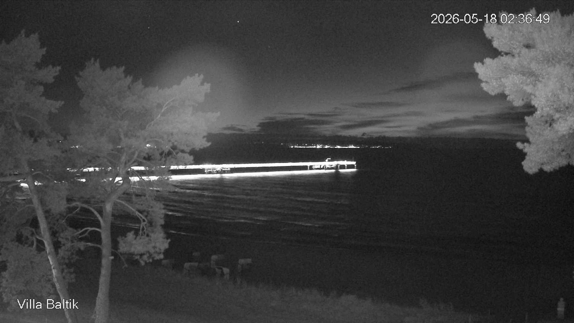 Archived image Webcam Binz Promenade