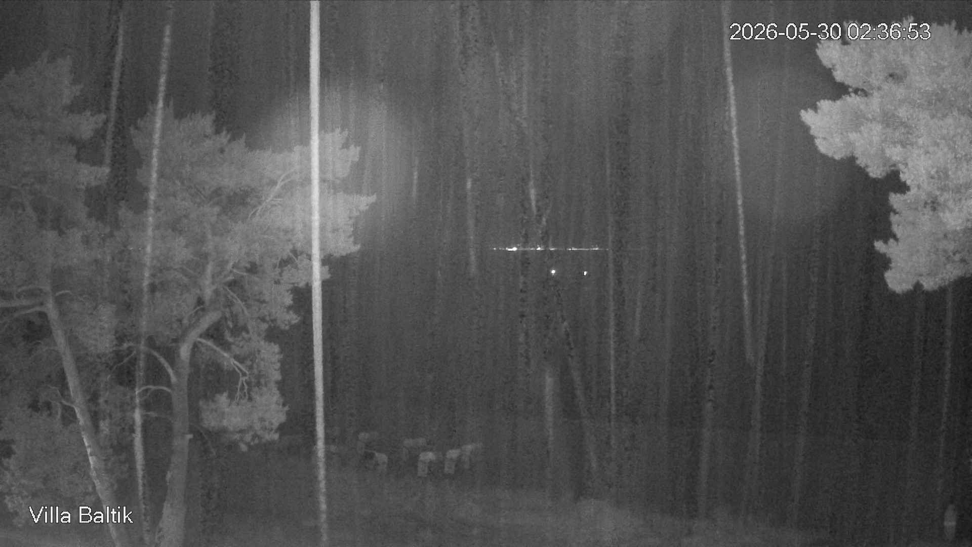 Archived image Webcam Binz Promenade