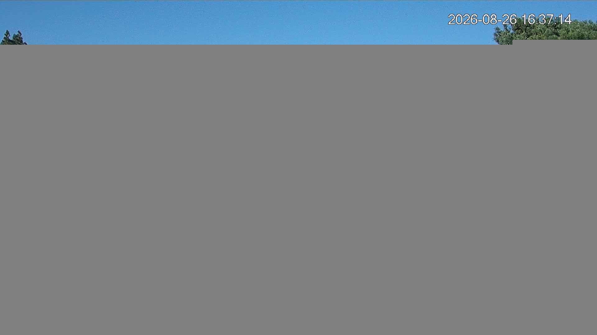 Archiv Foto Webcam Ostseebad Binz - Strandpromenade