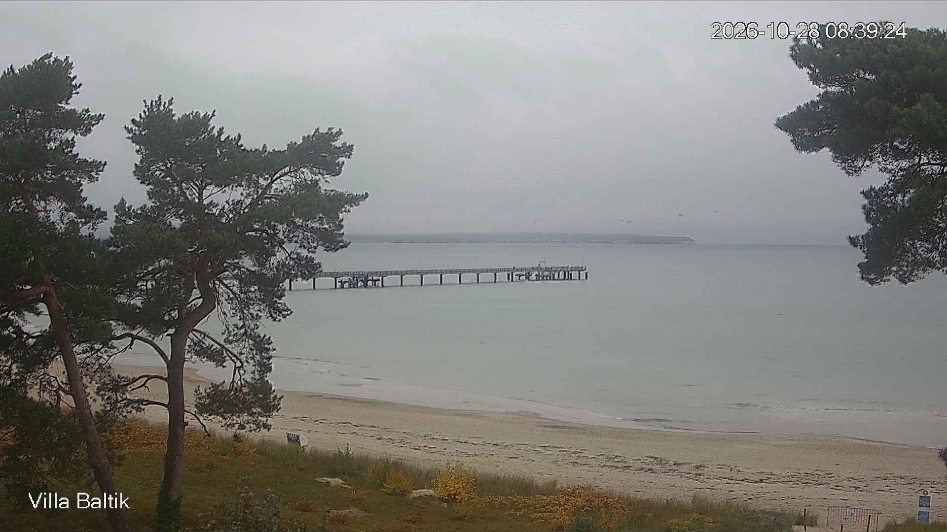 Archiv Foto Webcam Ostseebad Binz - Strandpromenade