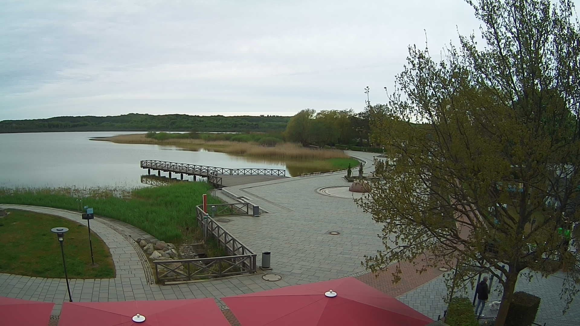 Archiv Foto Webcam Rügen: Schmachter See bei Binz