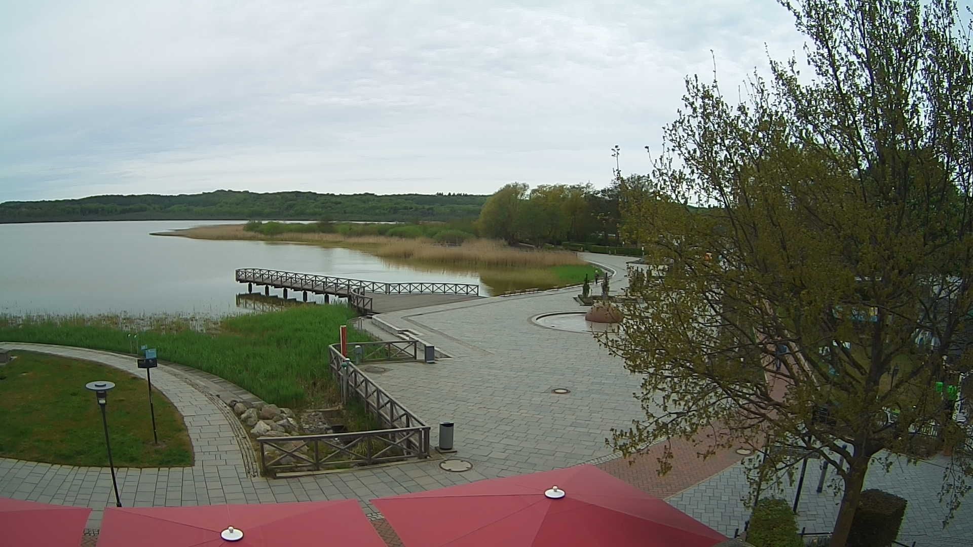 Archiv Foto Webcam Rügen: Schmachter See bei Binz