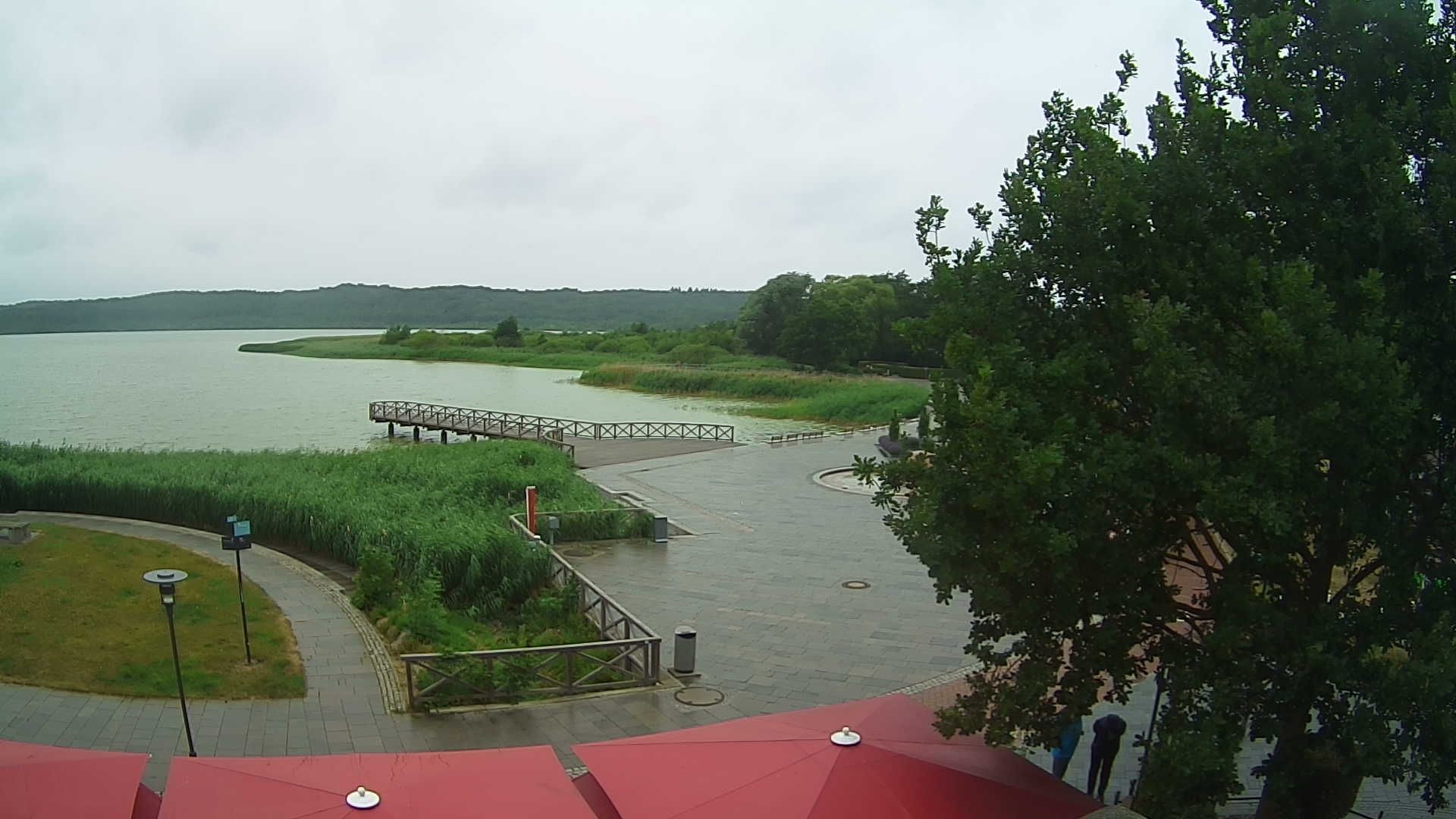 Archiv Foto Webcam Rügen: Schmachter See bei Binz