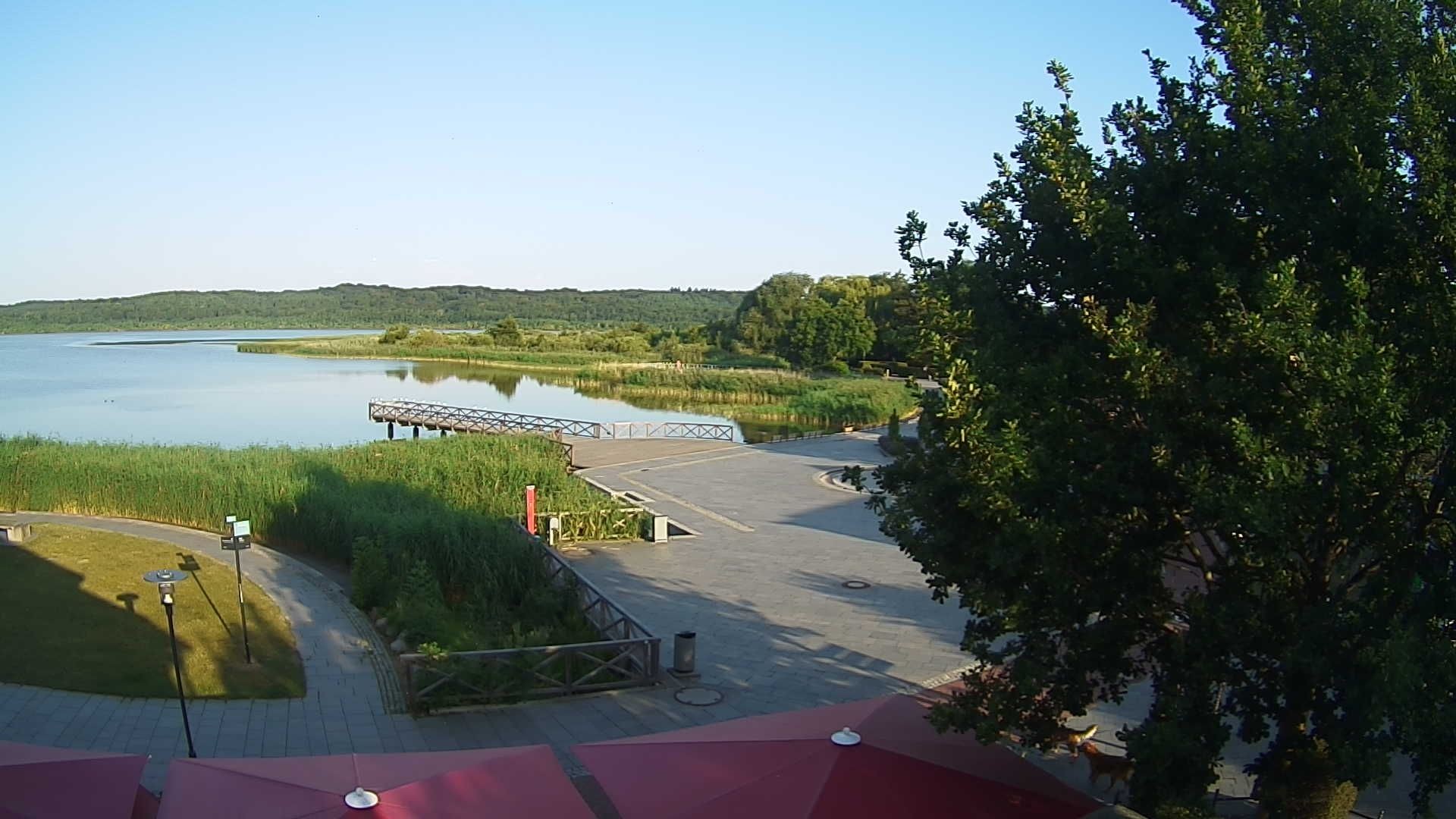 Archiv Foto Webcam Rügen: Schmachter See bei Binz