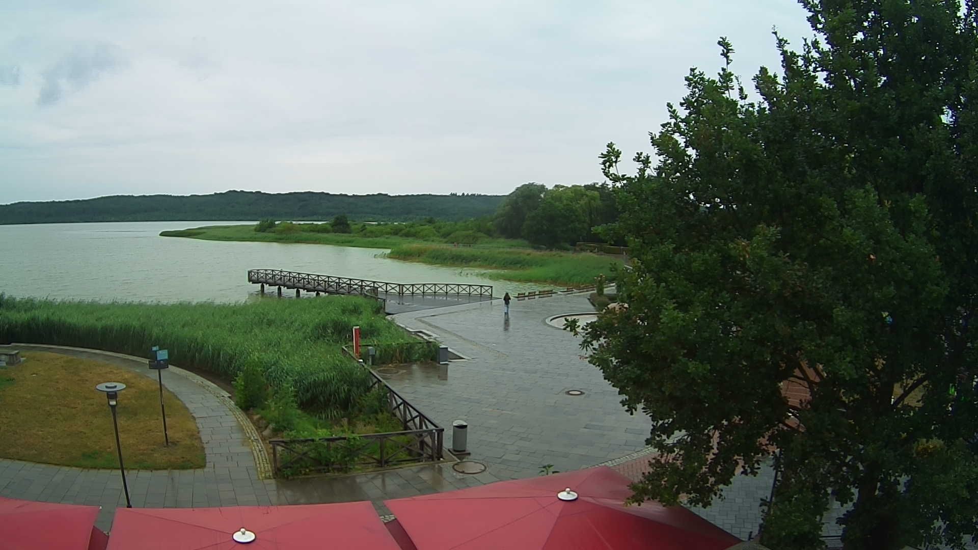 Archiv Foto Webcam Rügen: Schmachter See bei Binz