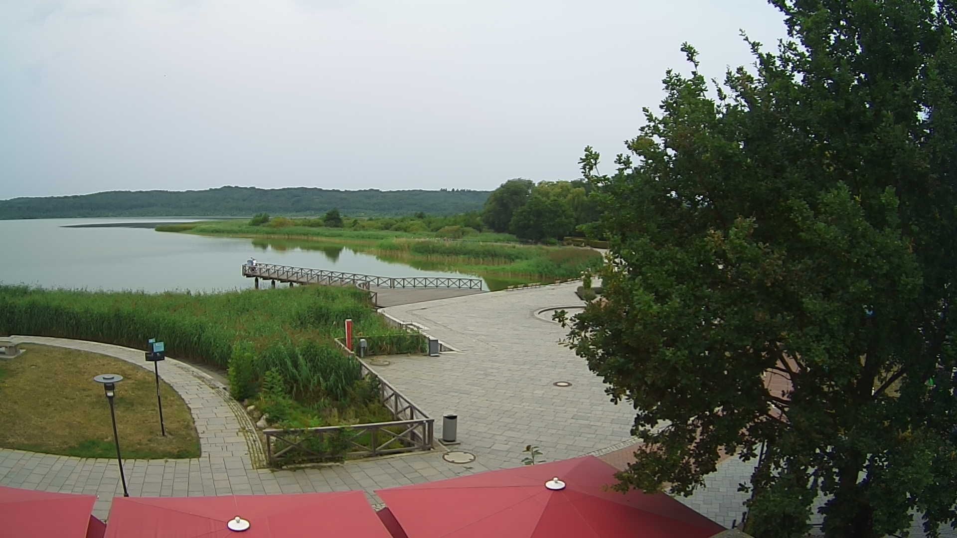 Archived image Webcam Schmachter Lake - Binz