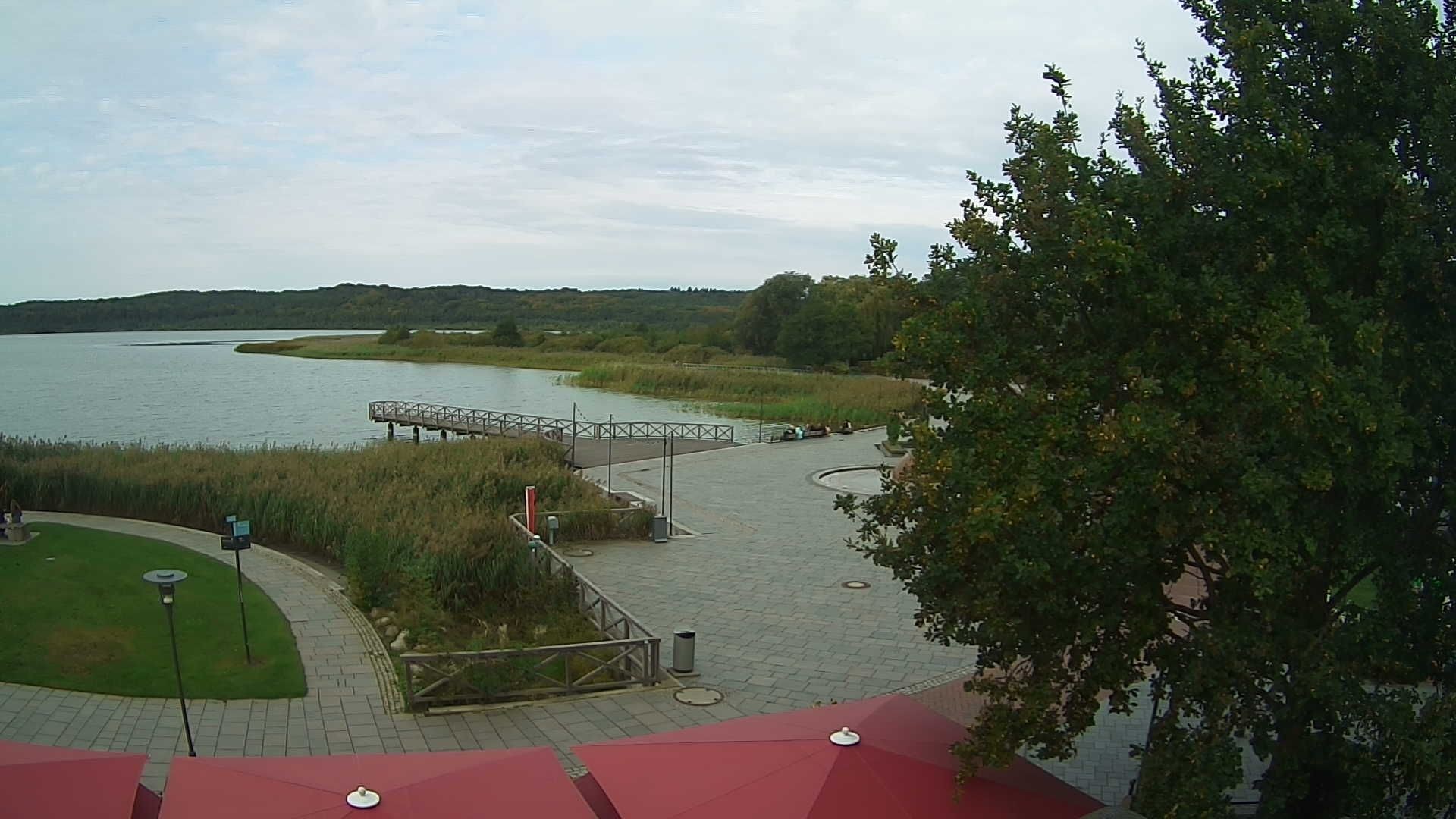 Archived image Webcam Schmachter Lake - Binz
