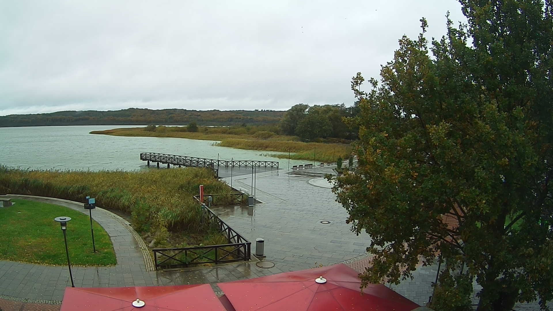 Archiv Foto Webcam Rügen: Schmachter See bei Binz