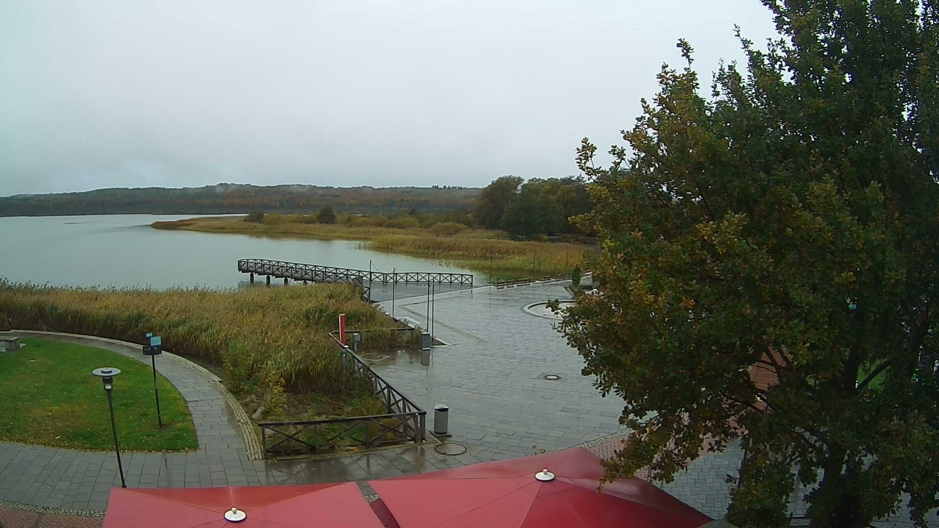 Archiv Foto Webcam Rügen: Schmachter See bei Binz
