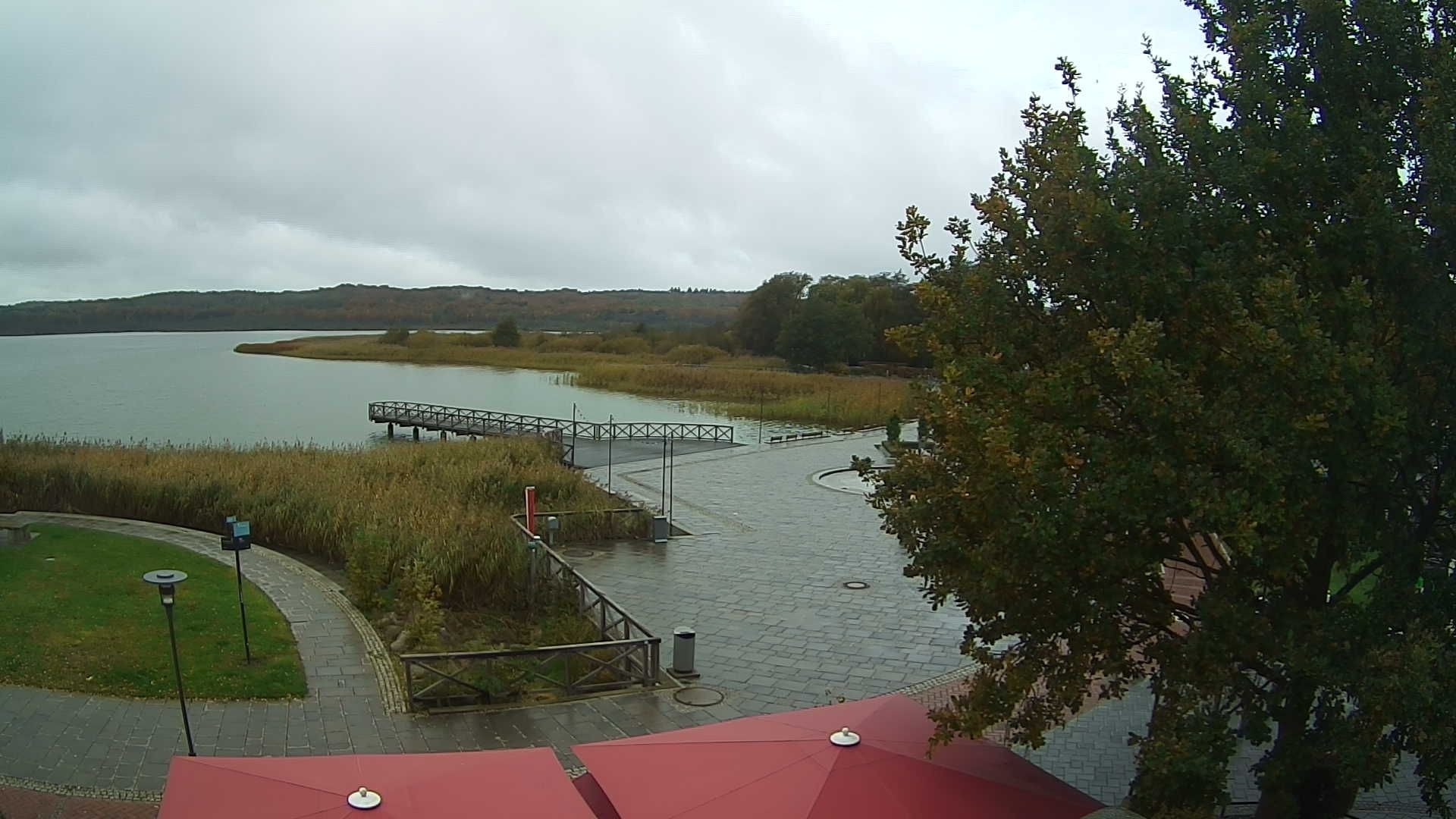 Archiv Foto Webcam Rügen: Schmachter See bei Binz