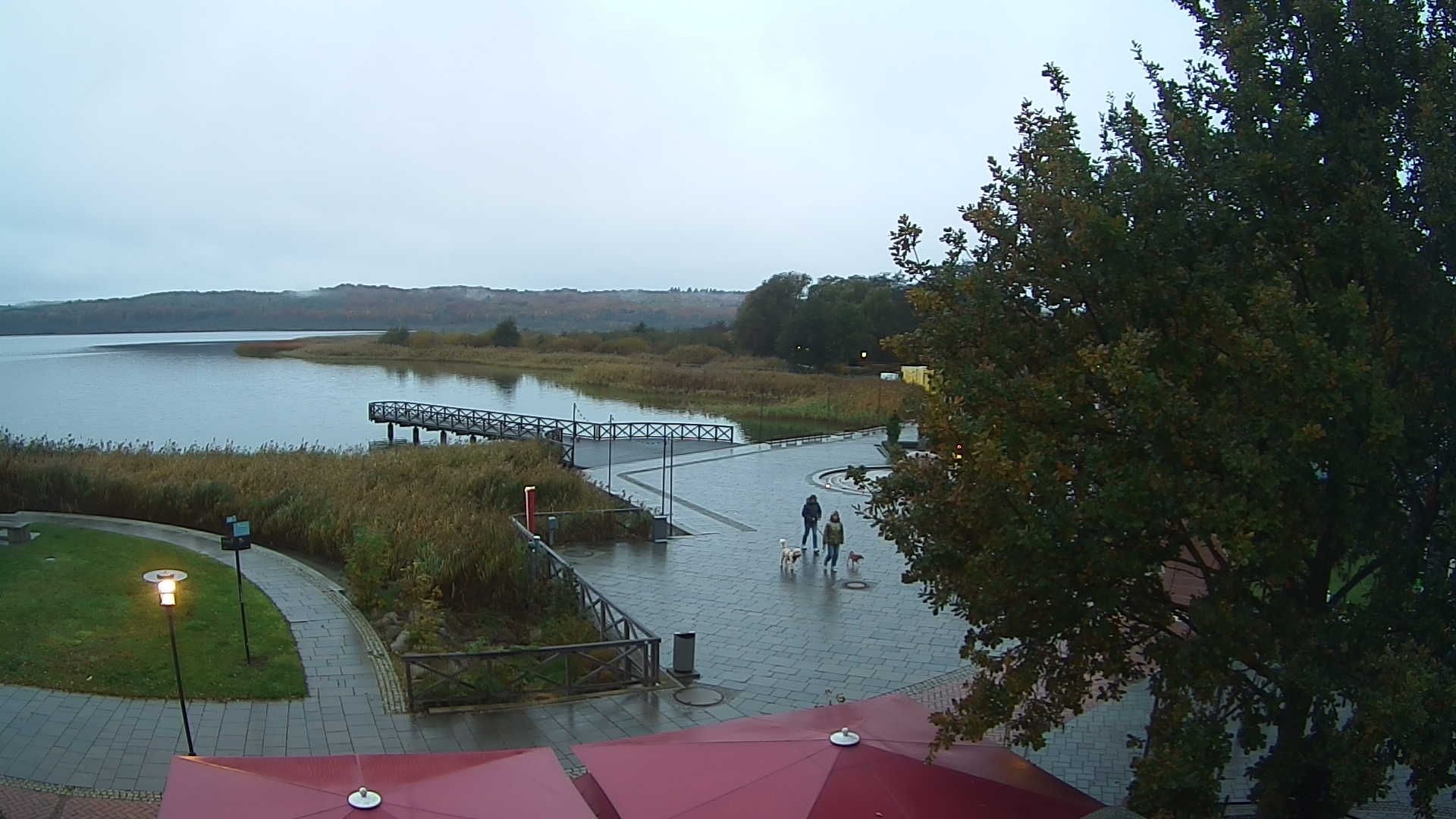 Archiv Foto Webcam Rügen: Schmachter See bei Binz