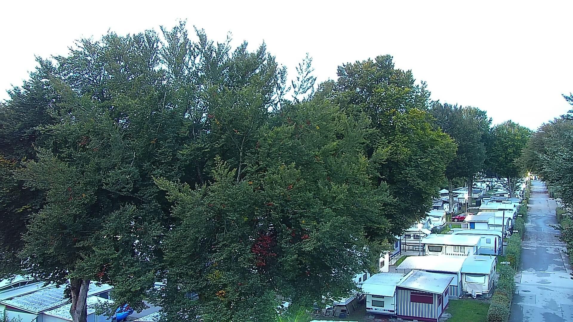 Archiv Foto Webcam Strandcamping Waging am See
