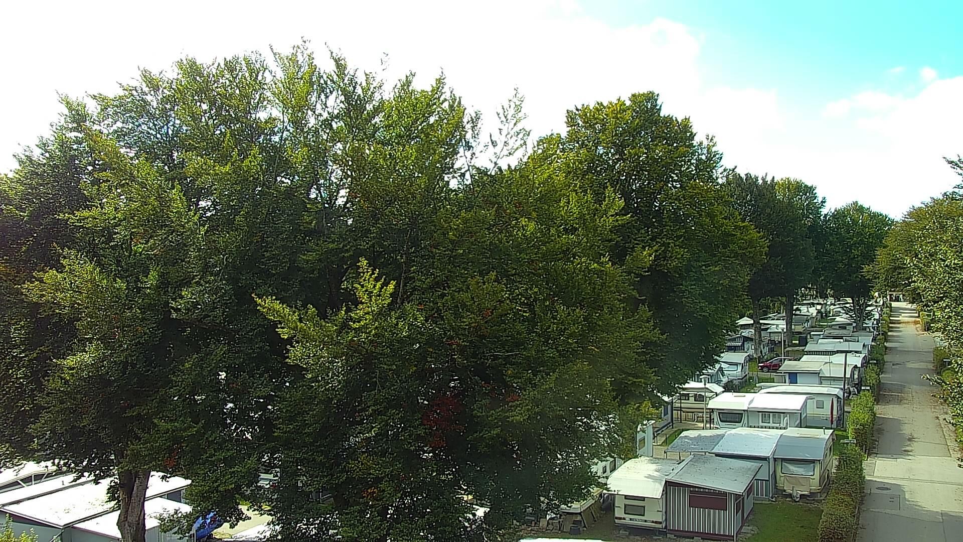 Archiv Foto Webcam Strandcamping Waging am See