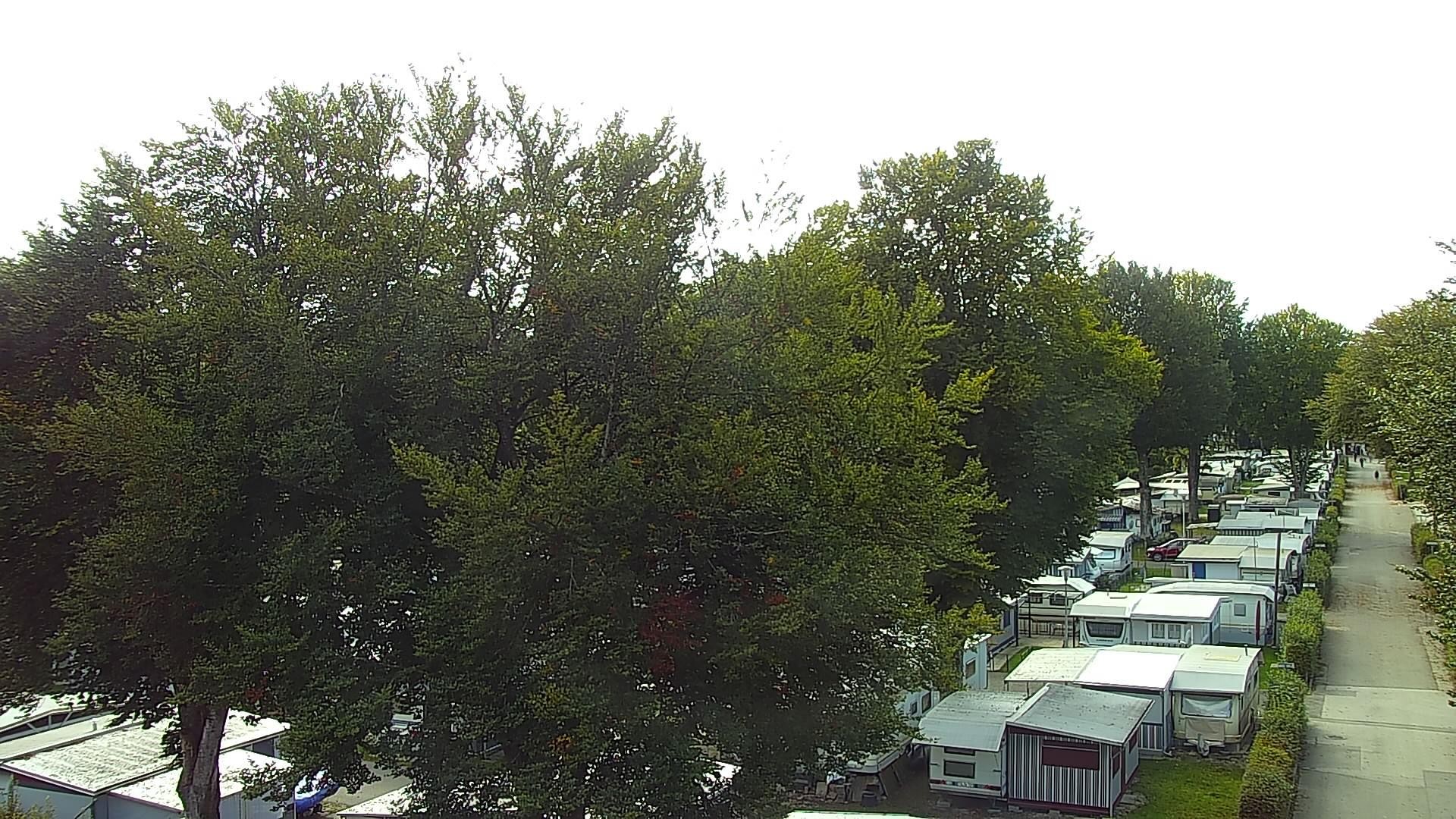 Archiv Foto Webcam Strandcamping Waging am See