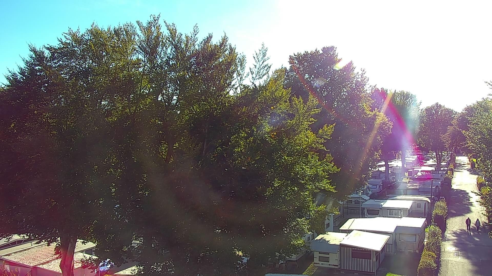 Archived image Webcam Campsite Waginger See