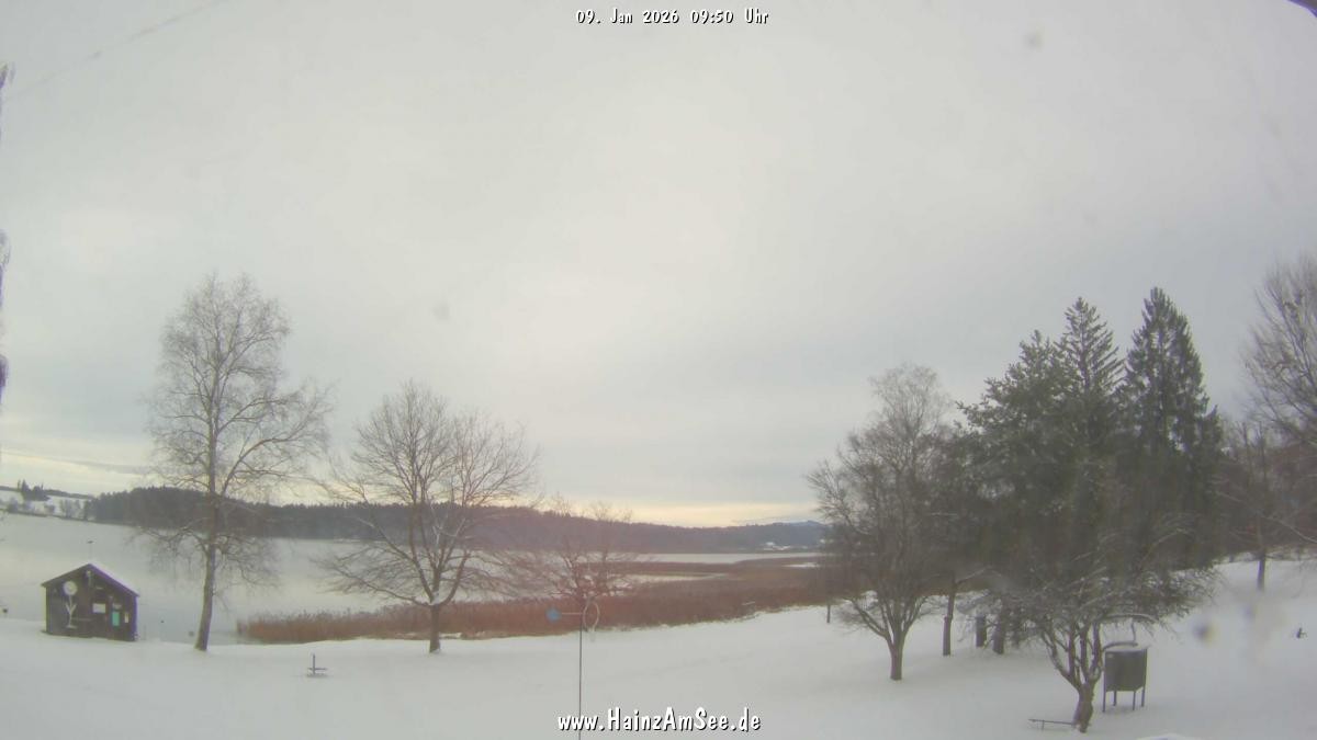Archiv Foto Webcam Ferienpark Hainz am Waginger See