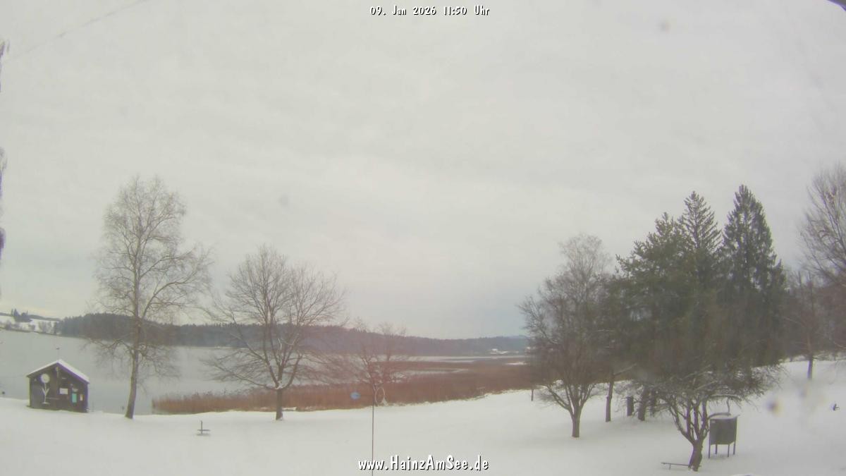 Archiv Foto Webcam Ferienpark Hainz am Waginger See