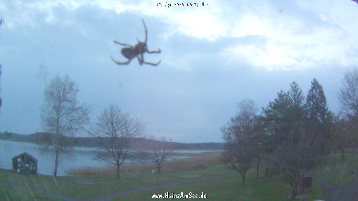 Archiv Foto Webcam Ferienpark Hainz am Waginger See